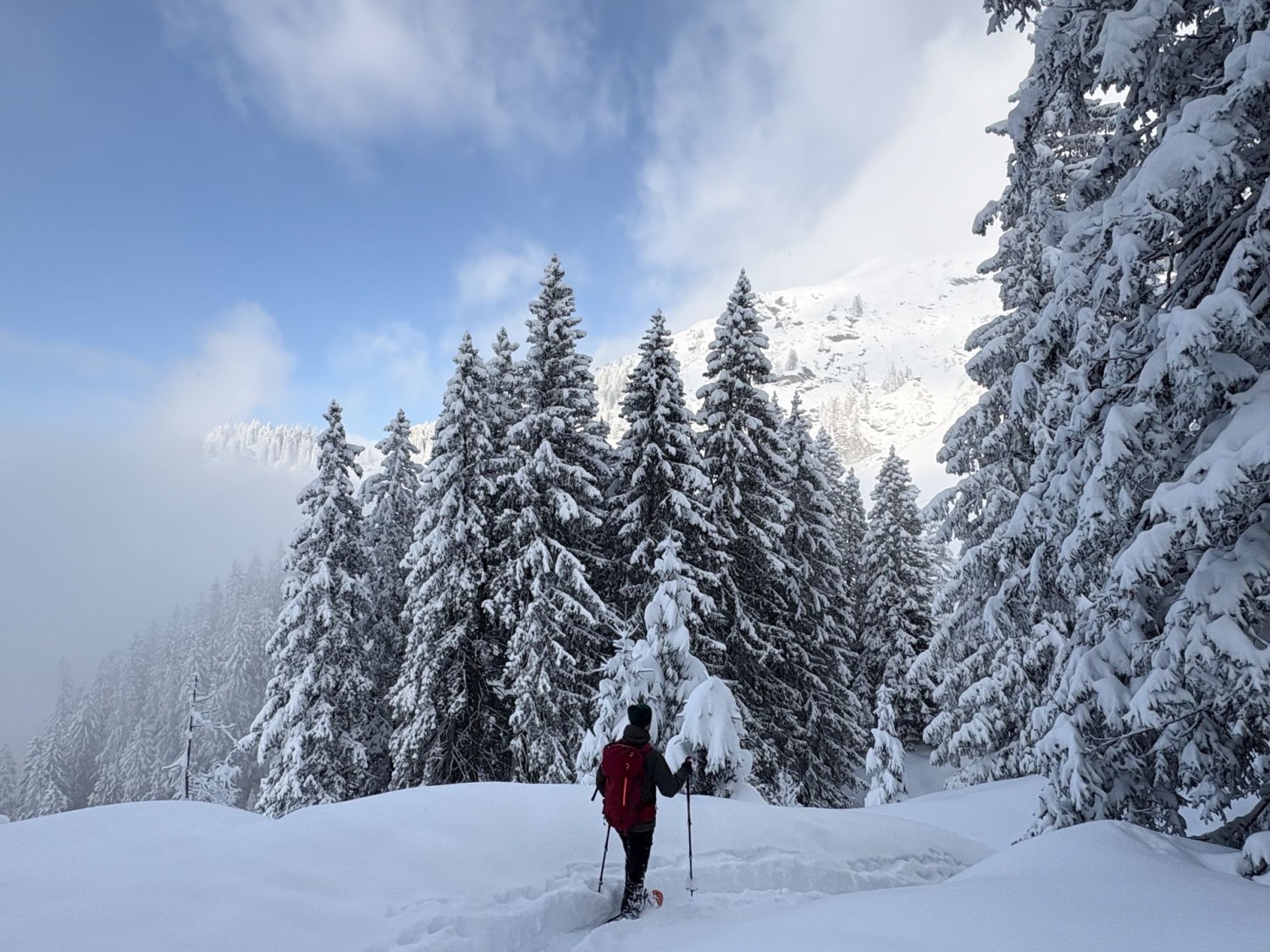 Die Schneeschuhwanderung führt durch frischen Neuschnee und verschneite Tannenwälder.