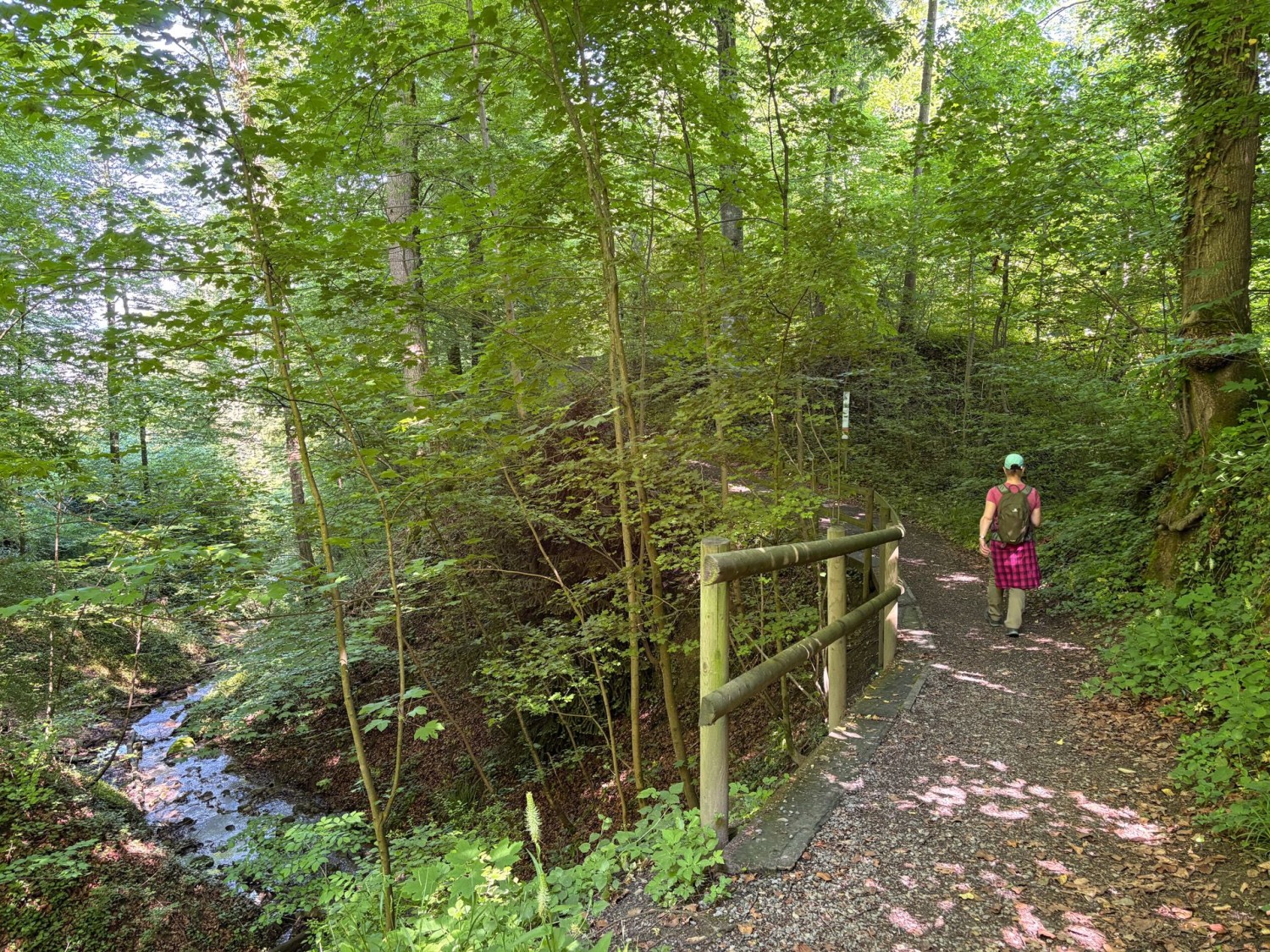 Im Schatten und begleitet vom Plätschern des Drälikerbachs geht es weiter.