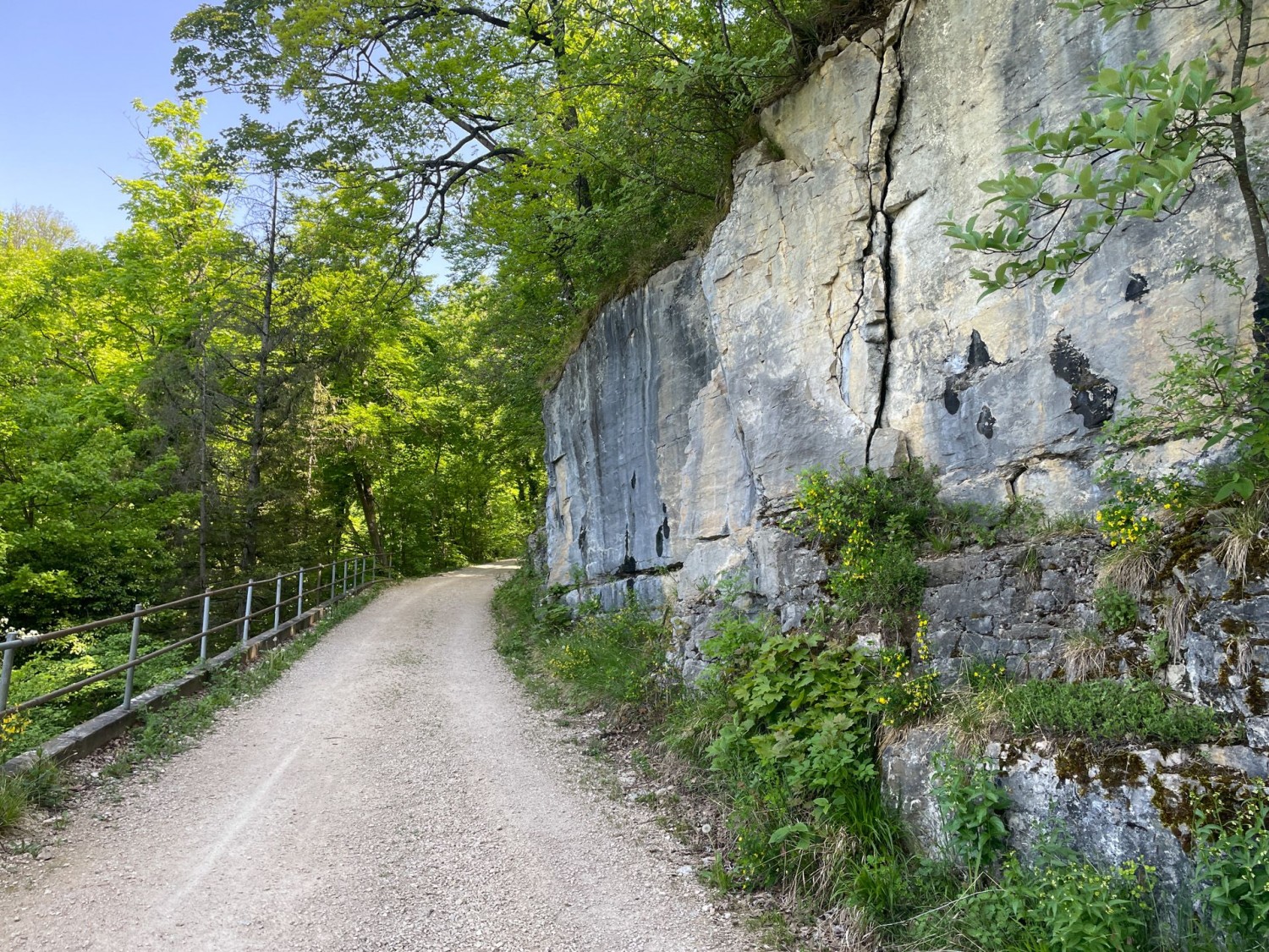 On longe des parois rocheuses en direction de Schönmatt.