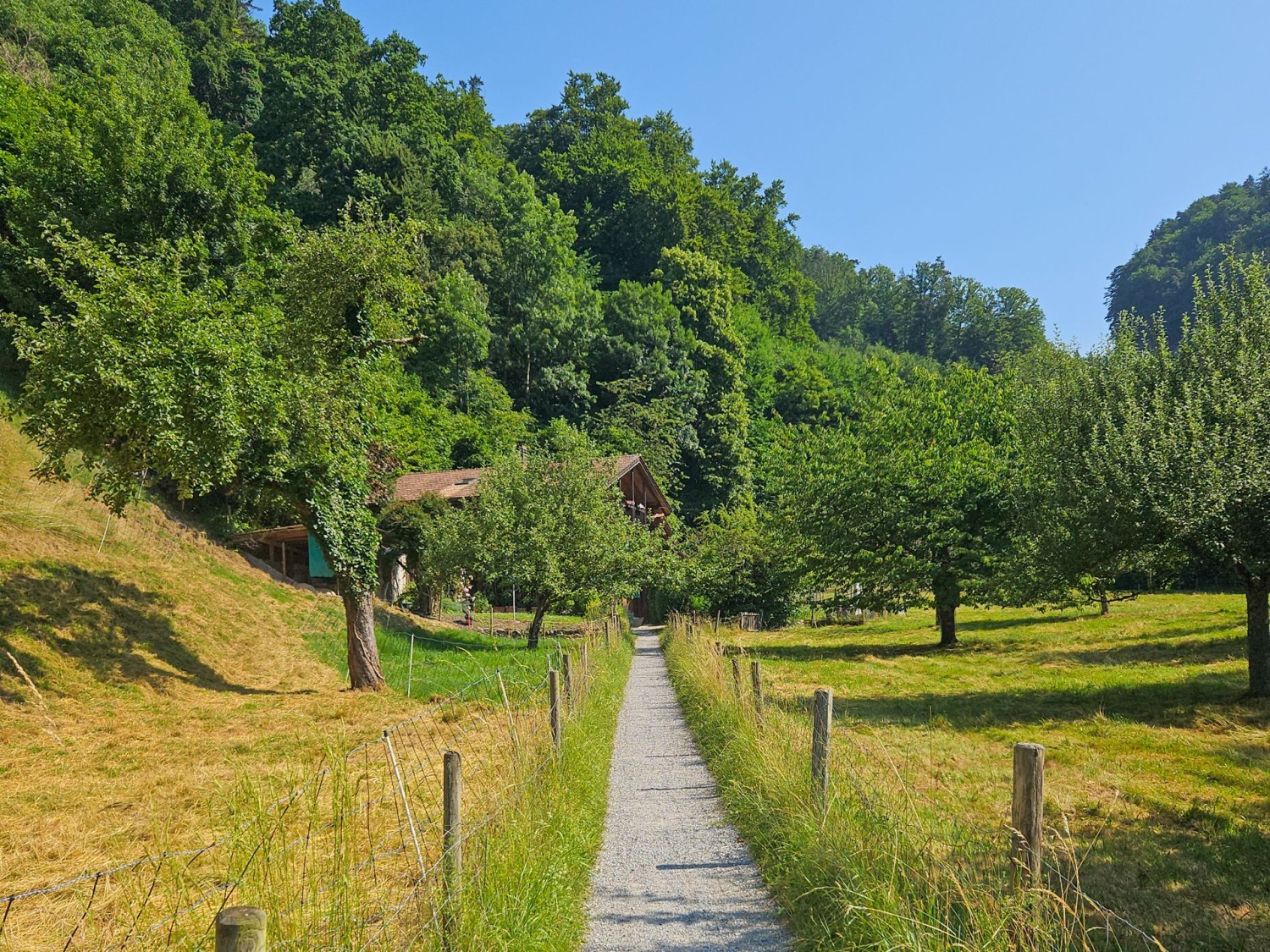 Vorbei an Wiesen geht es zum Eingang der Schlucht.