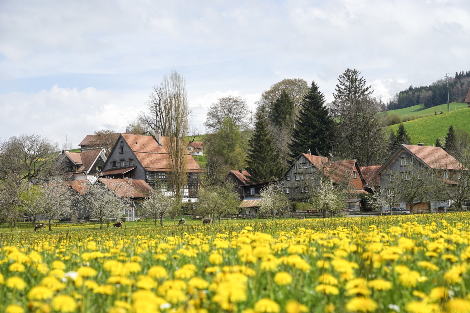 Im Dorf Schwänberg residierten einst die Textilbarone. Bild: Reto Wissmann