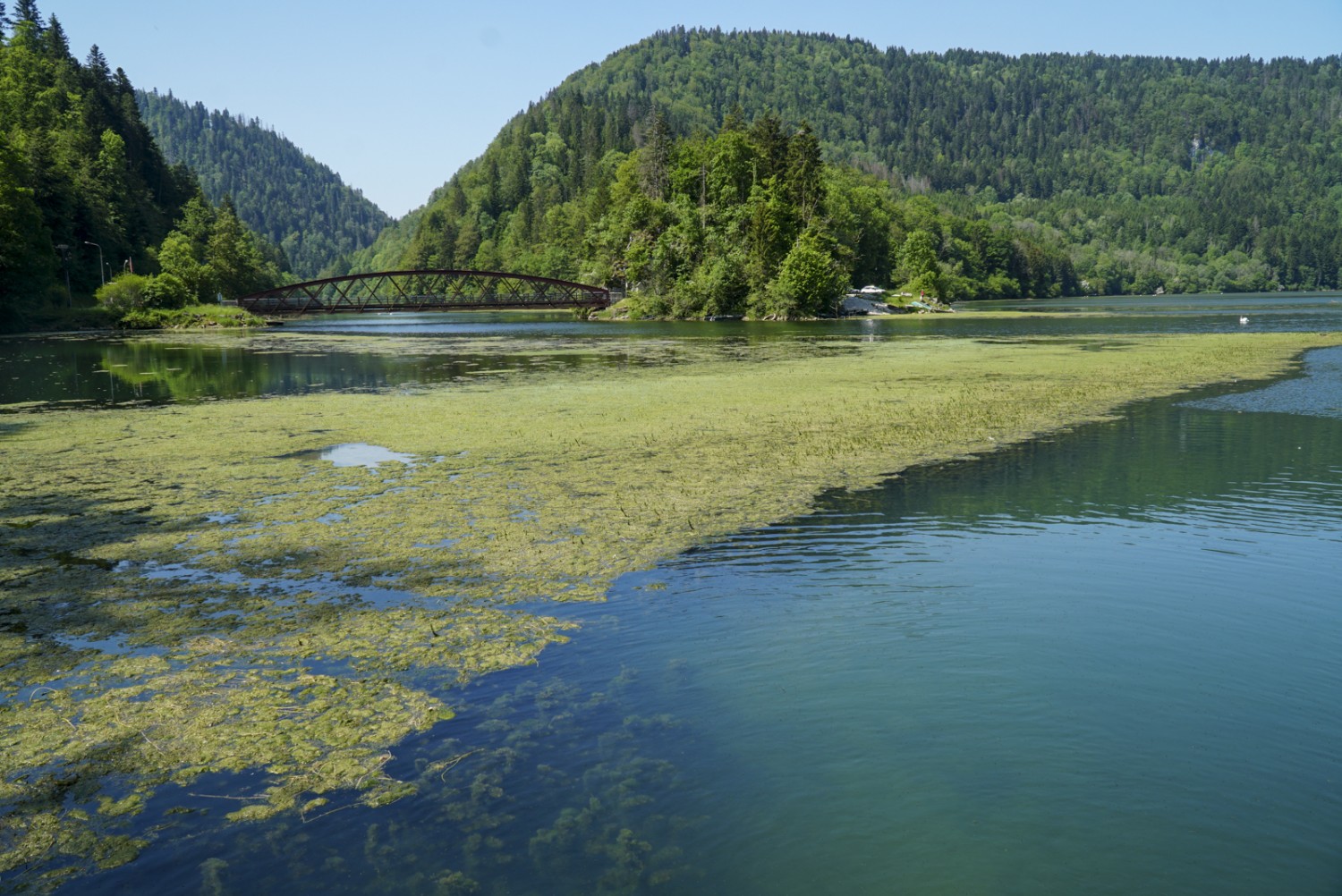 Le lac de retenue de Biaufond fait partie de la réserve naturelle du Parc du Doubs. Photo: Mia Hofmann