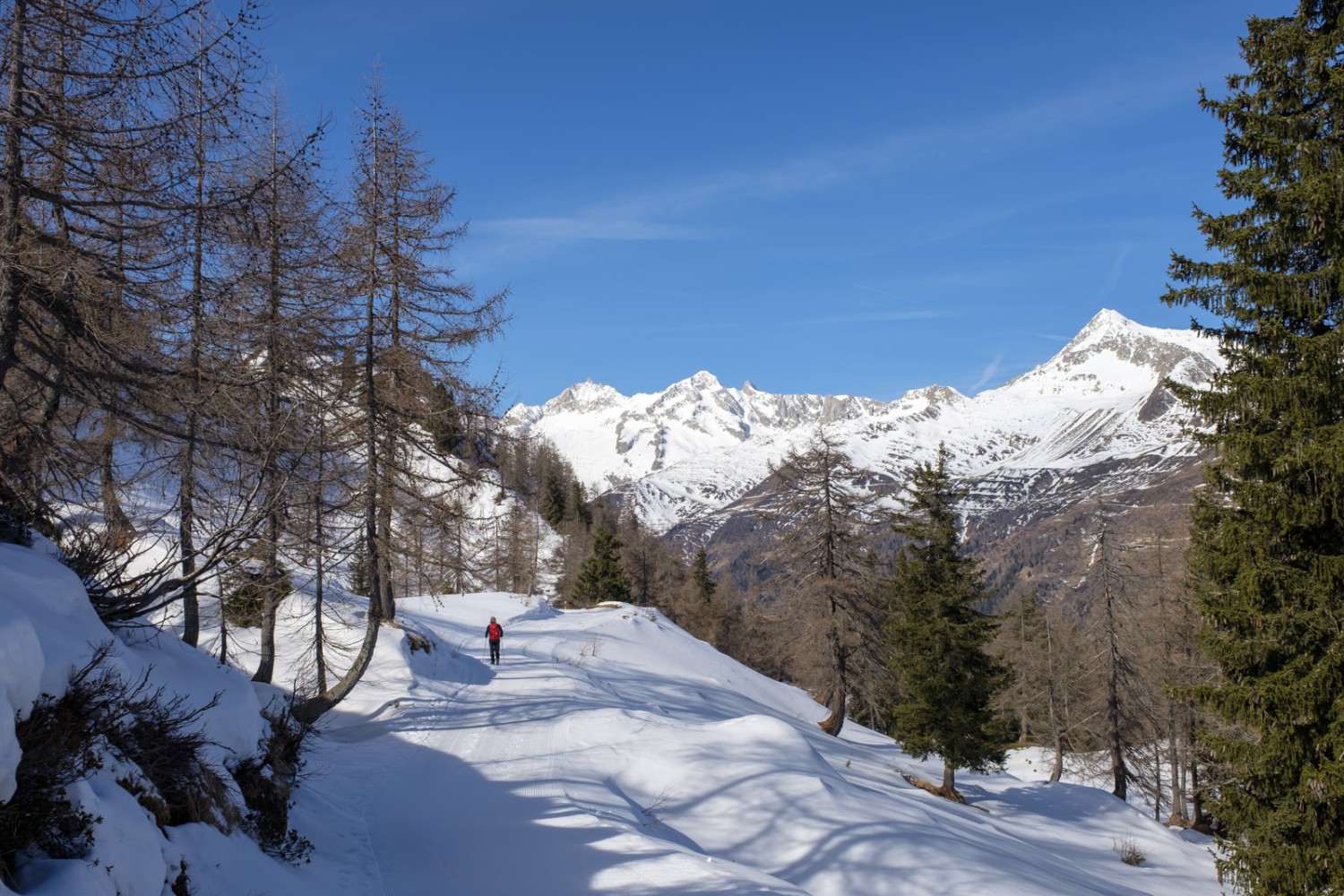 Passeggiata con vista su massiccio del San Gottardo, Pizzo Lucendro, Pizzo Rotondo e Chüebodenhorn. Foto: Iris Kürschner