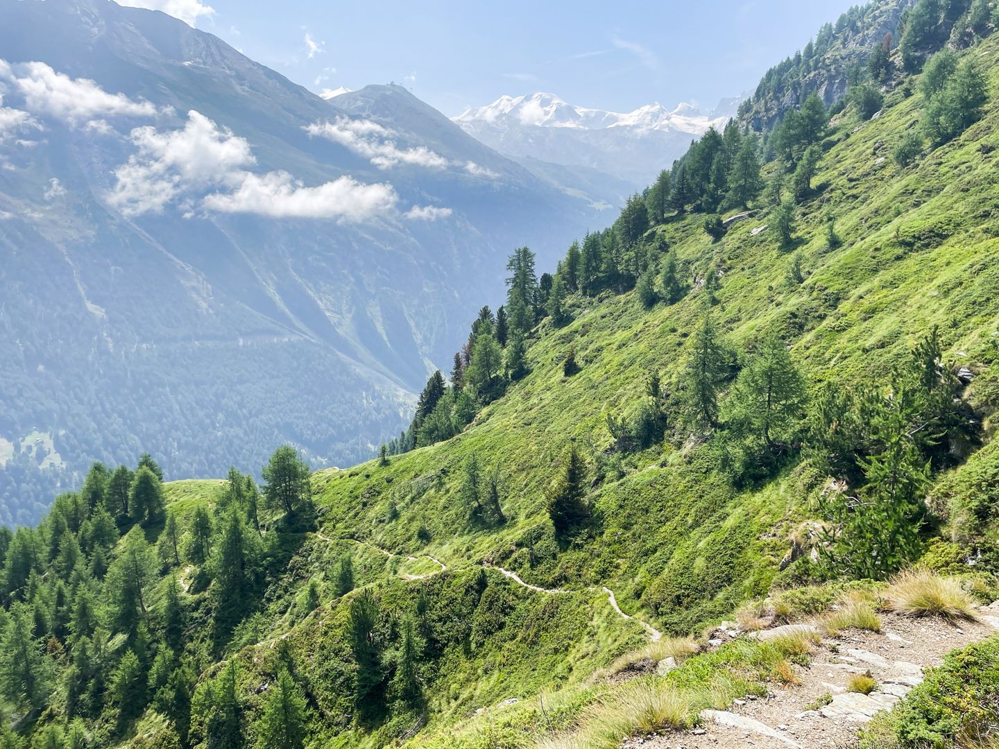 Der steilste Abschnitt der Wanderung ist geschafft.