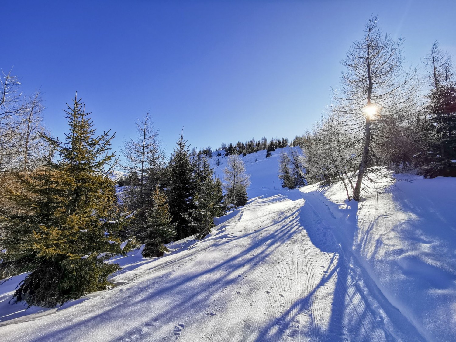 Au niveau du Leg Palus