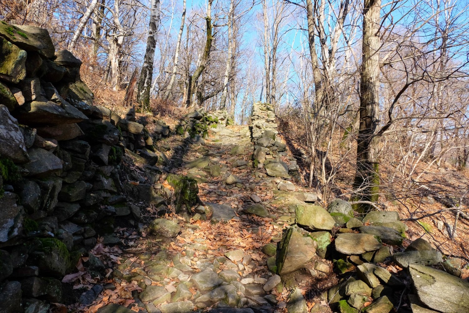 Über die Mulattiera geht es vom Weiler Soresina aus dem Monte Ceneri entgegen.