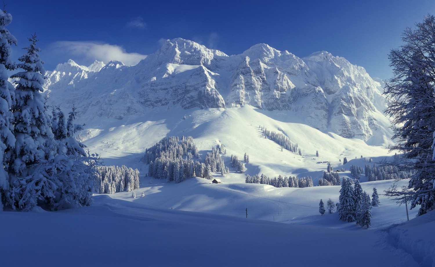 Vue sur l’Alpstein depuis la Schwägalp. Photo: Appenzellerland Tourismus (AR).