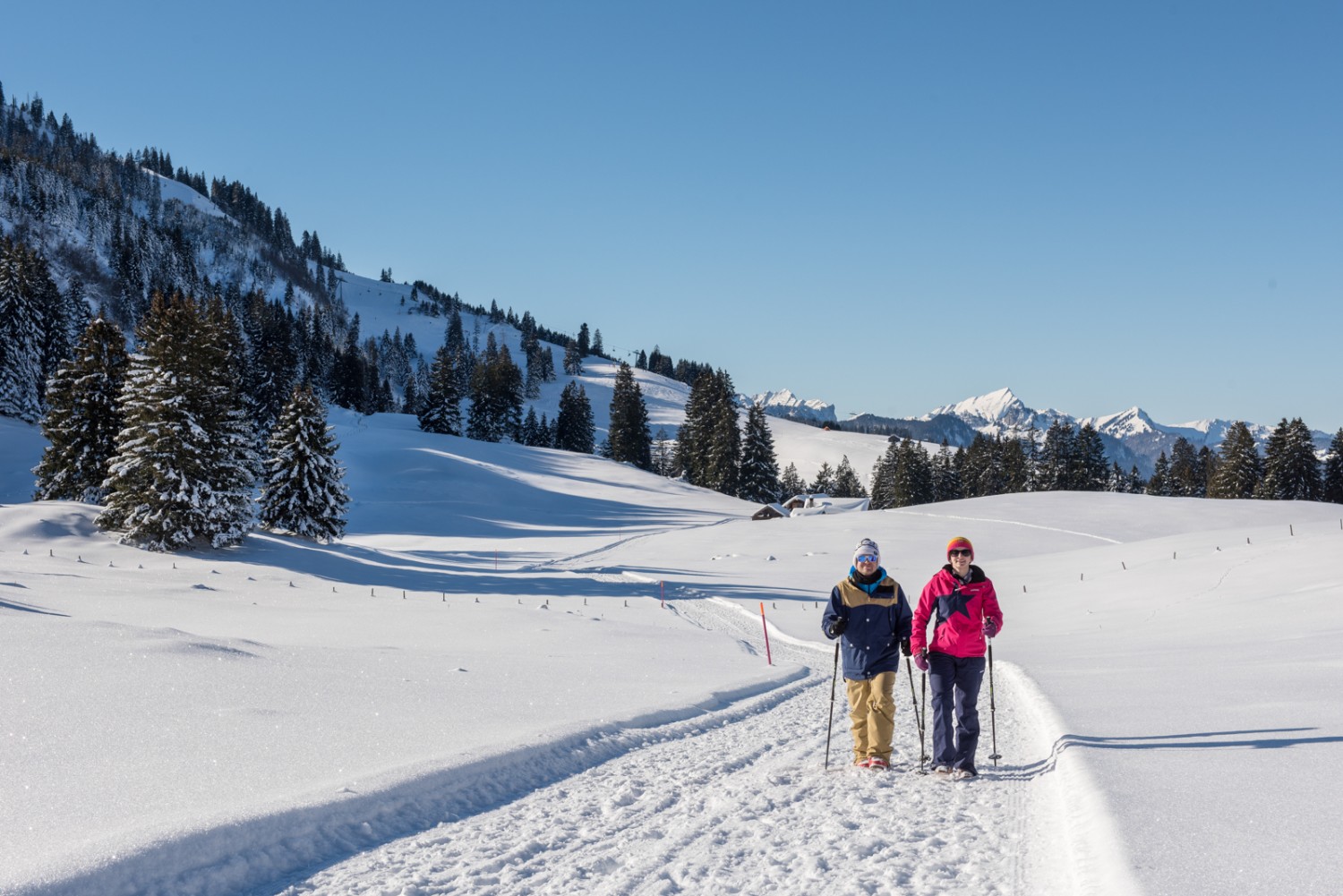 Le chemin menant à Gamperfinboden offre de belles vues sur les montagnes; en arrière-plan, le Gulmen et le Speer.Photo: Toggenburg Tourismus