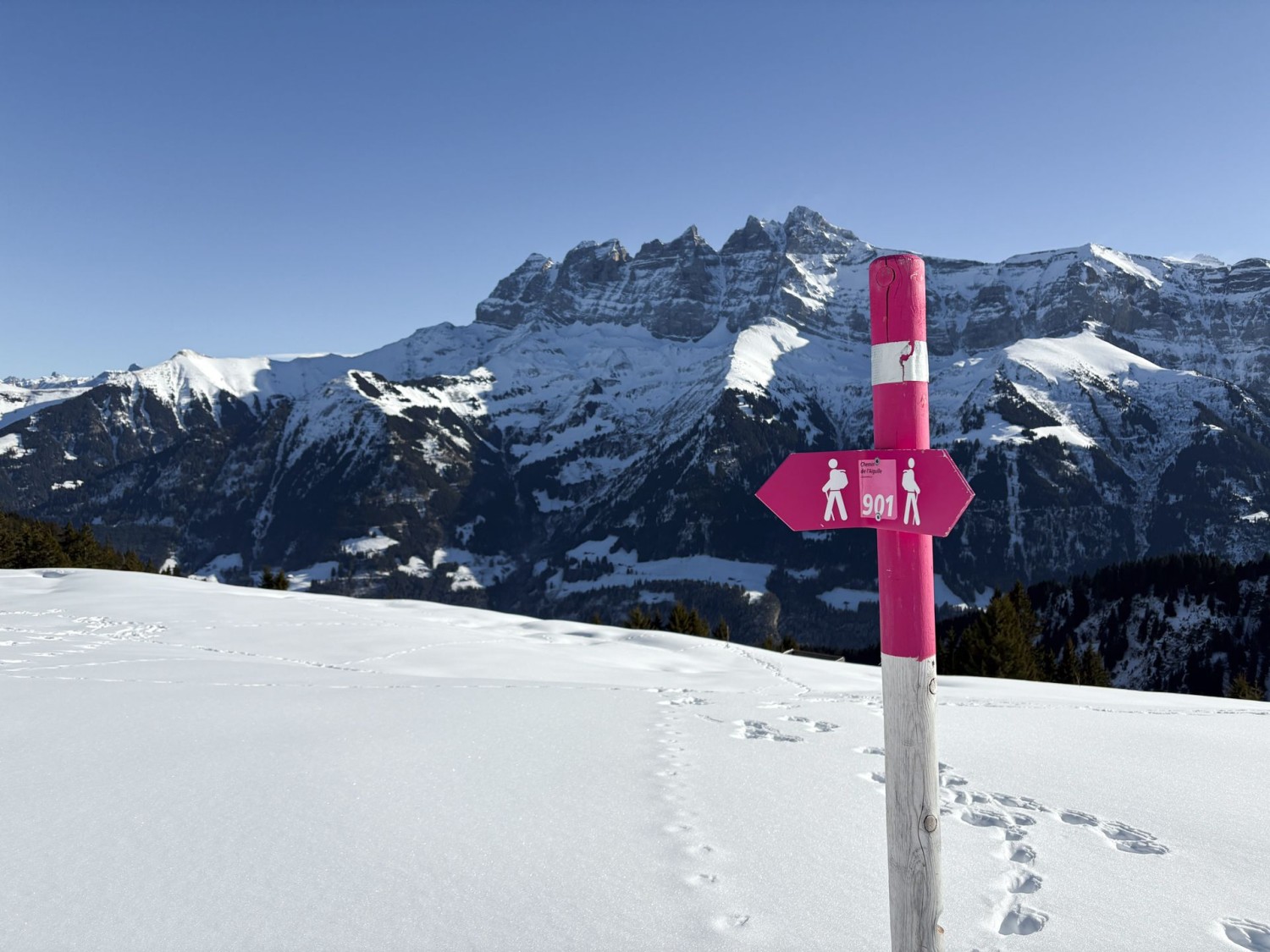 Ein stetiger Begleiter auf dieser Winterwanderung: die Dents du Midi.