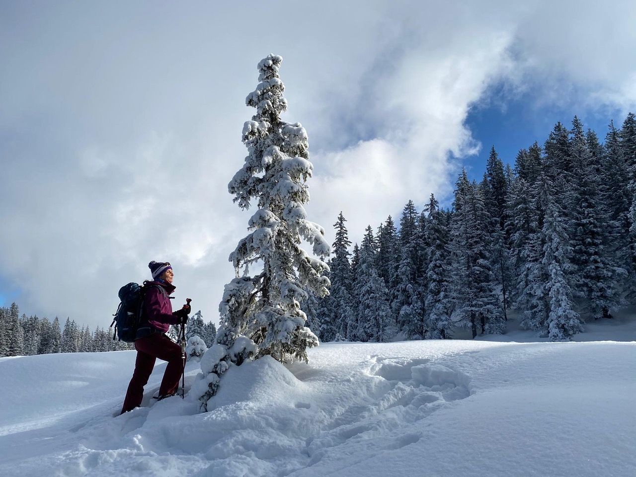 Foto: M. Grossrieder