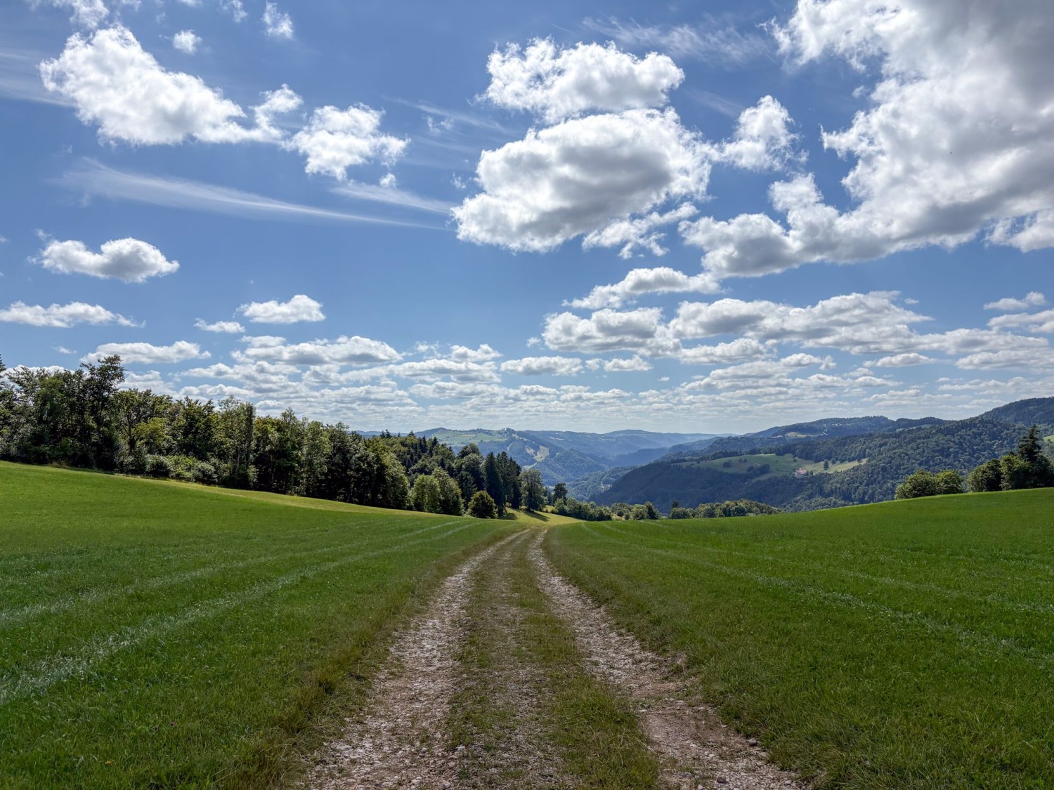 Über Jurawiesen geht es gemächlich wieder talwärts.