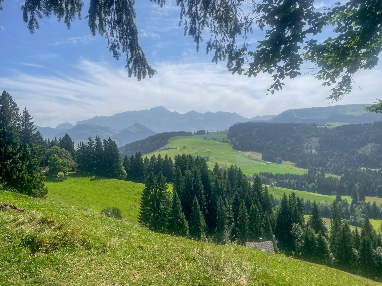 Säntis, Säntis, Säntis – auch im Abstieg ist er zu sehen.