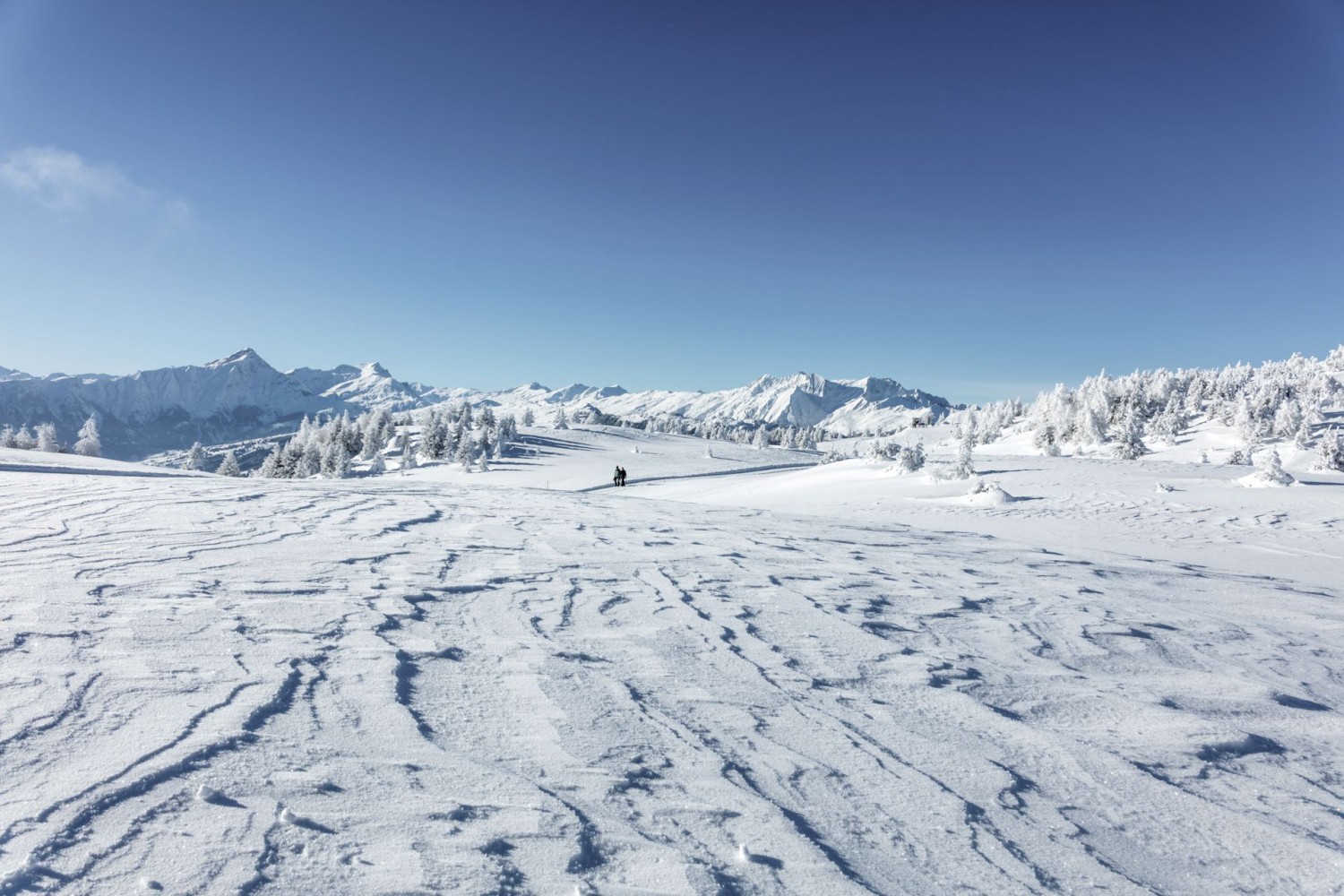 Vue en direction du Domleschg à gauche et du Safiental et Heinzenberg à droite