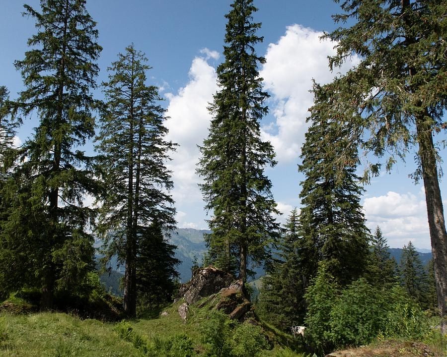 Foto: Fabian Béboux, FotoPate SchweizMobil