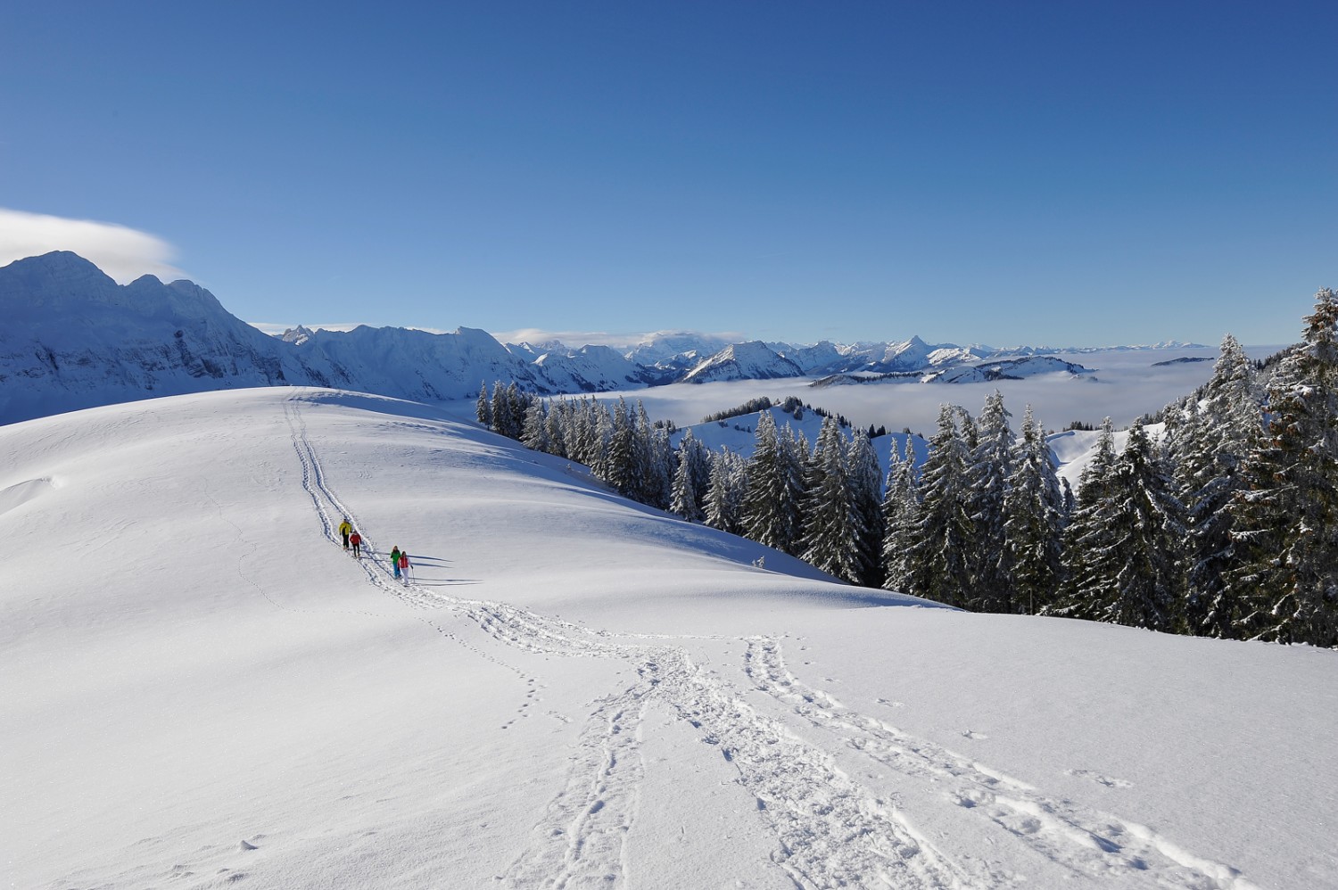 Dans la montée du Langälpli au Kronberg; à l’arrière, la chaîne du Säntis (à g.) et la vue sur le Toggenburg. Photo: appenzell.ch.
