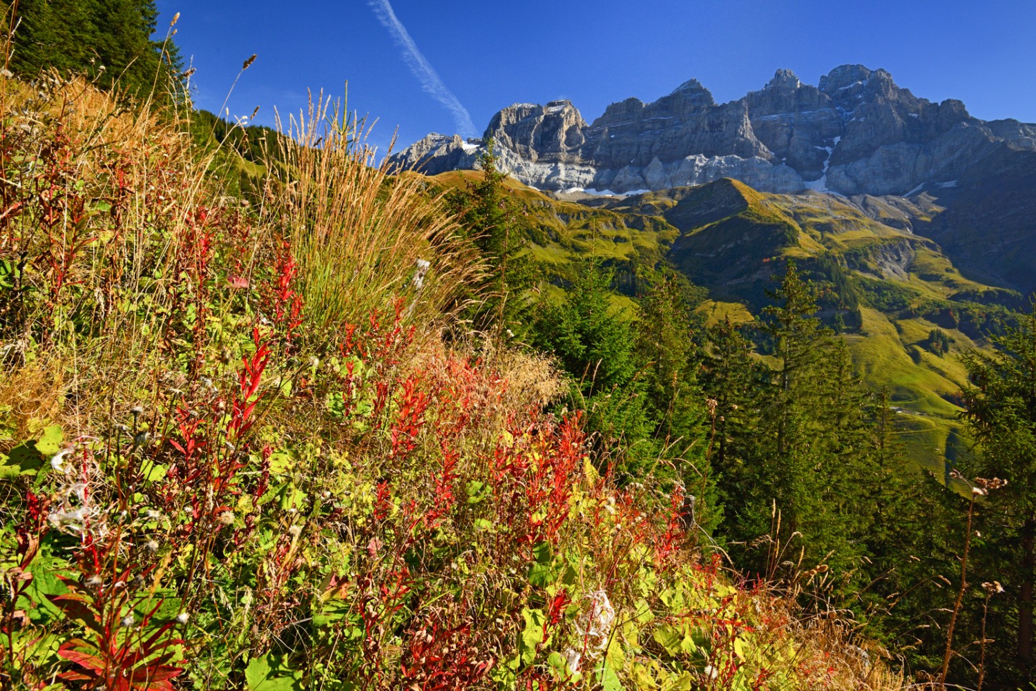 Dents du Midi à l’arrière-plan, dans la région d’Antème. Photo: natur-welten.ch