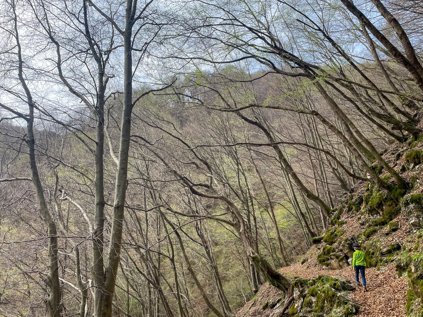 Lungo i pendii della Valle dei Pascoli.