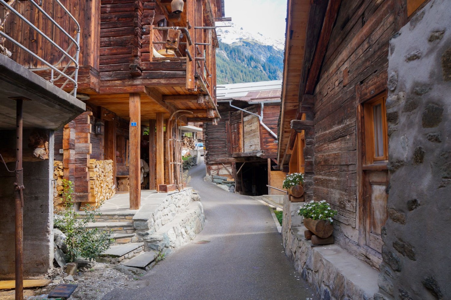 A la rencontre du Verbier sauvage