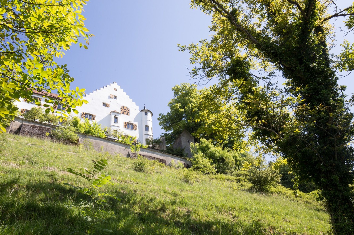 Château de Sonnenberg. Privé et esthétique.