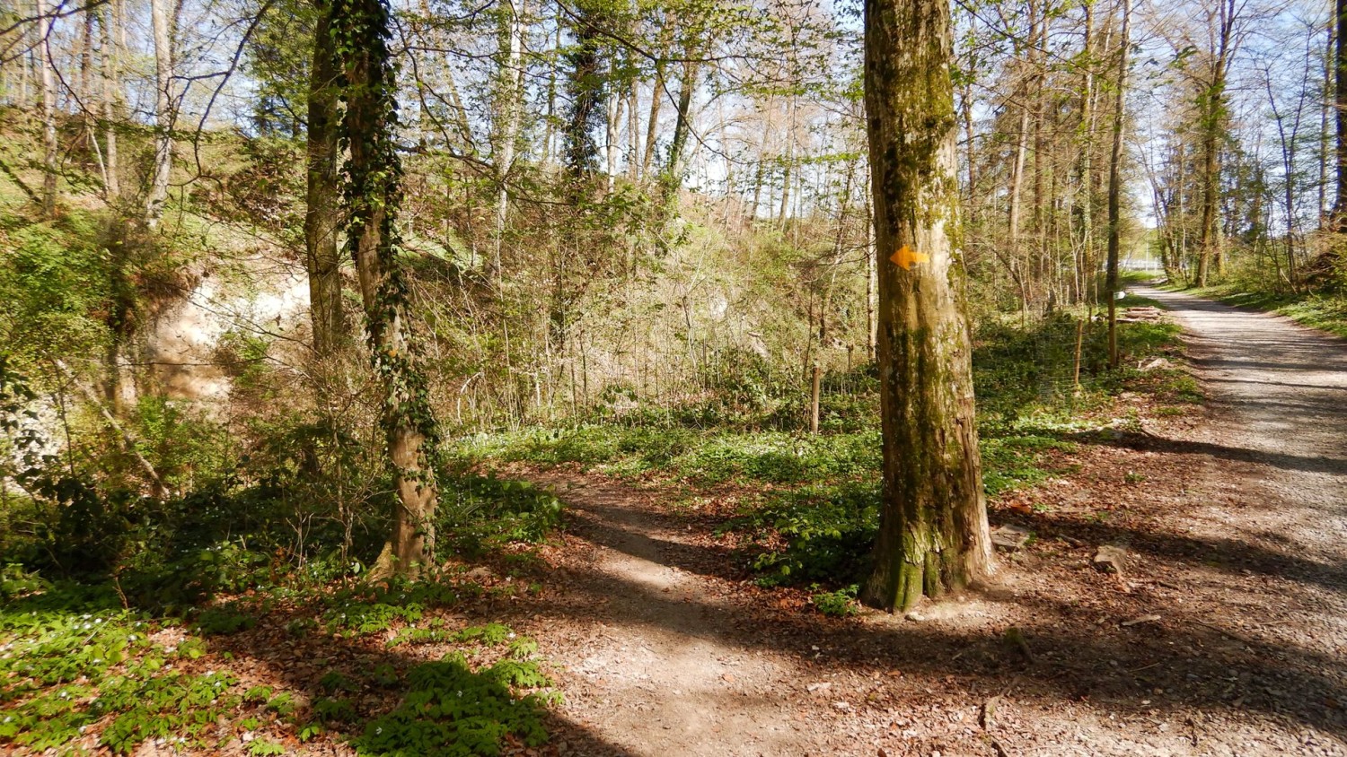 Abzweiger zum Chlusgrabe.