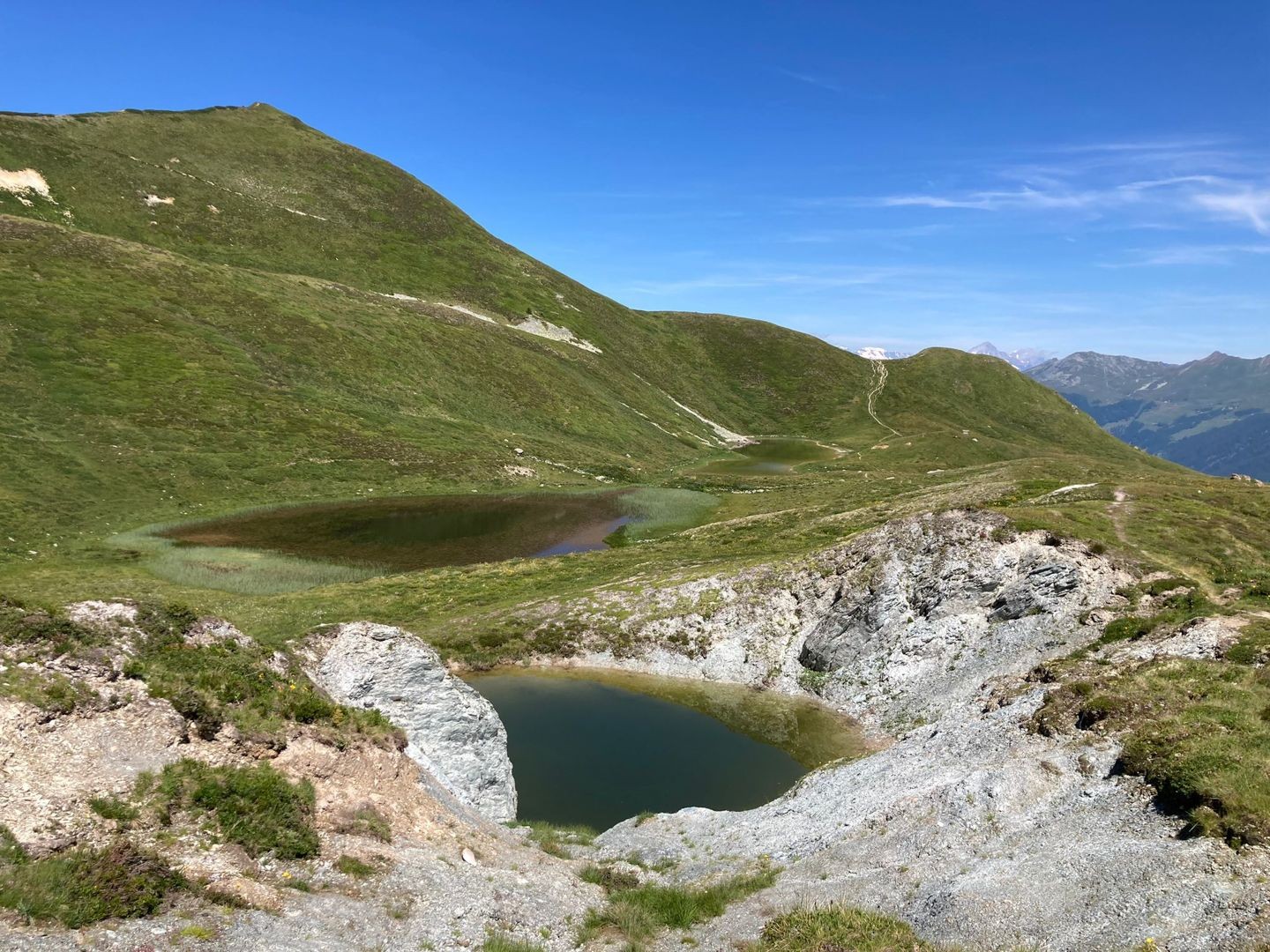 Eingebettet auf über 2300 Metern Höhe sind diese kleinen Gewässer ein Paradies für Molche und Frösche.