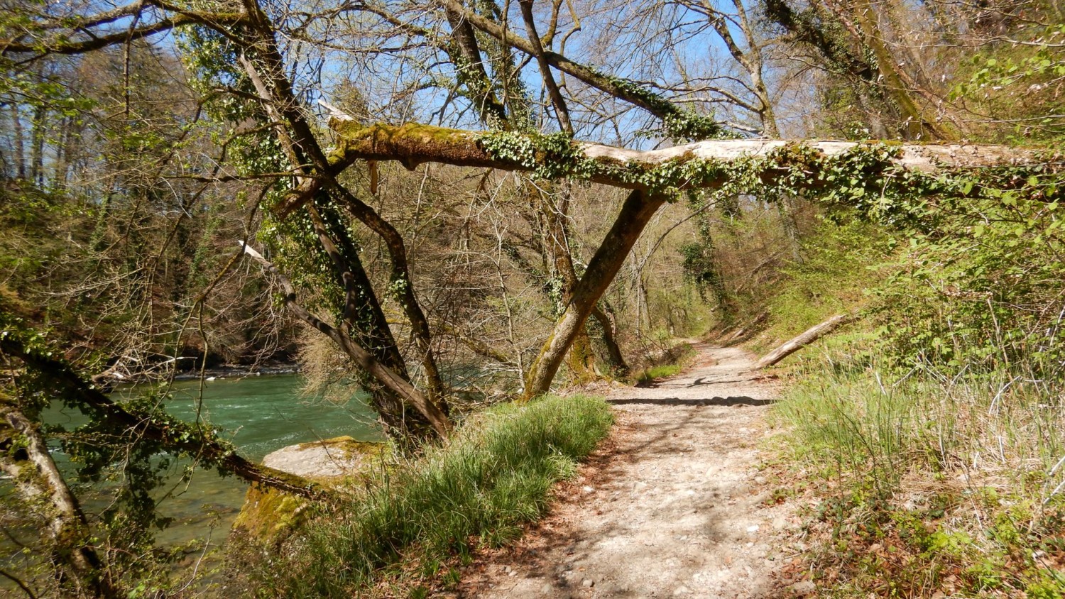 Spuren des letzten Sturmereignisses