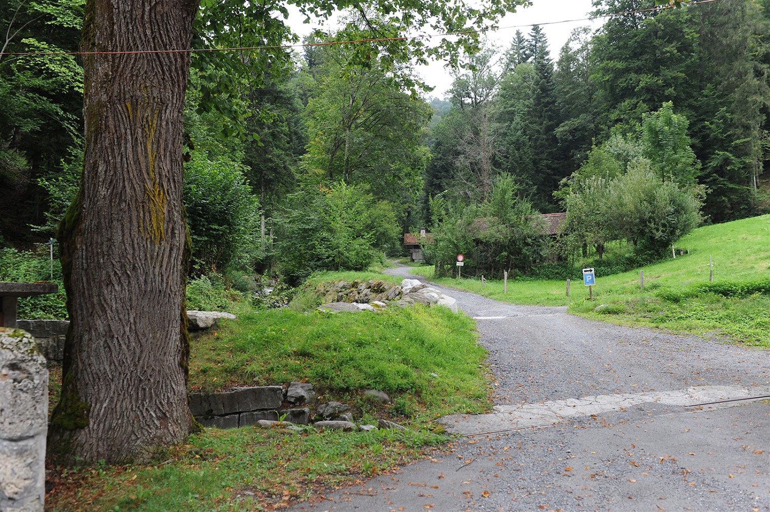 Des chemins sans difficultés suivent les rives de la Lorze à travers la gorge du Lorzentobel. Photo: Martin Weiss