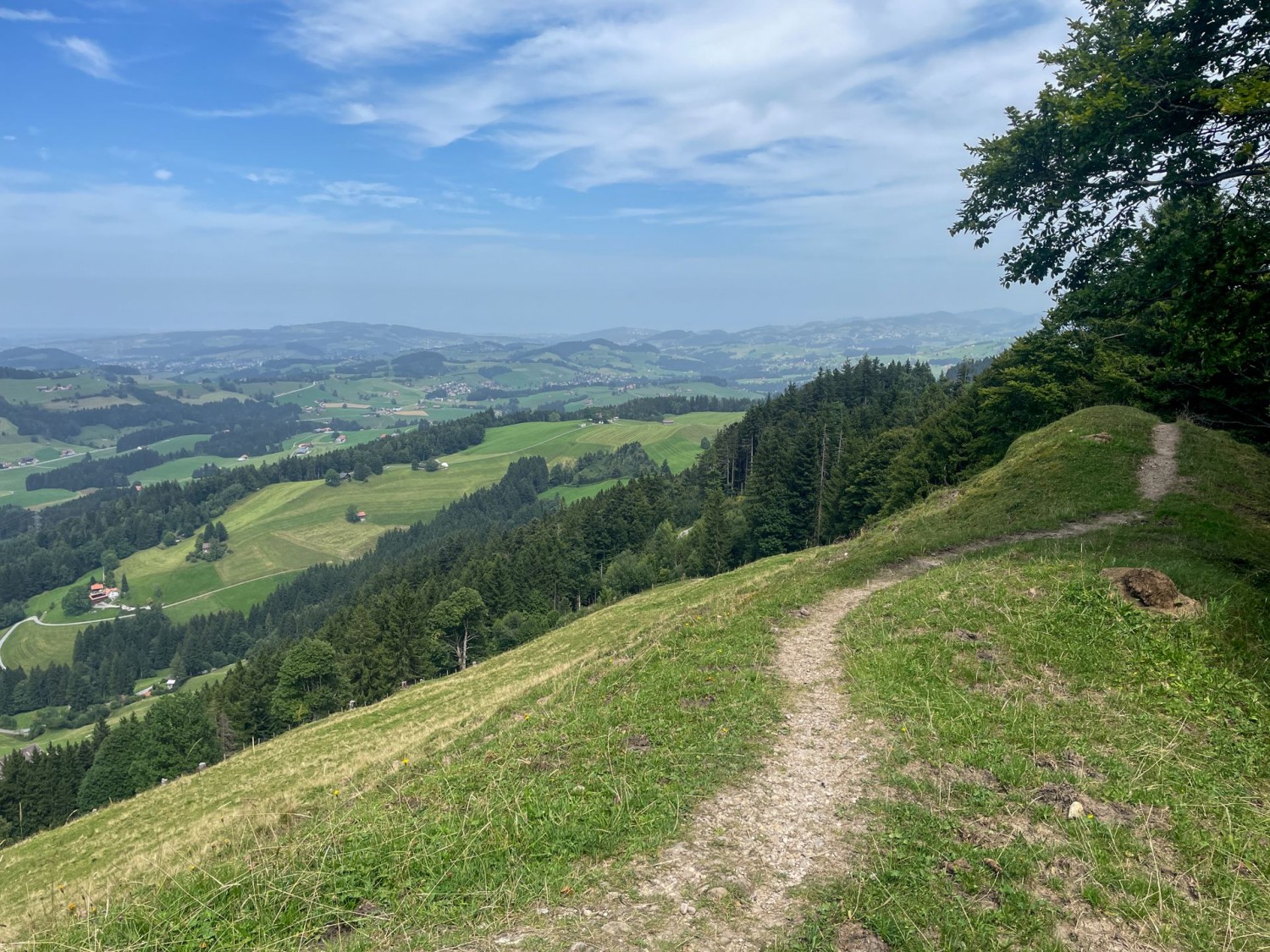 Vom Hochhamm aus schweift der Blick über das Appenzellerland.