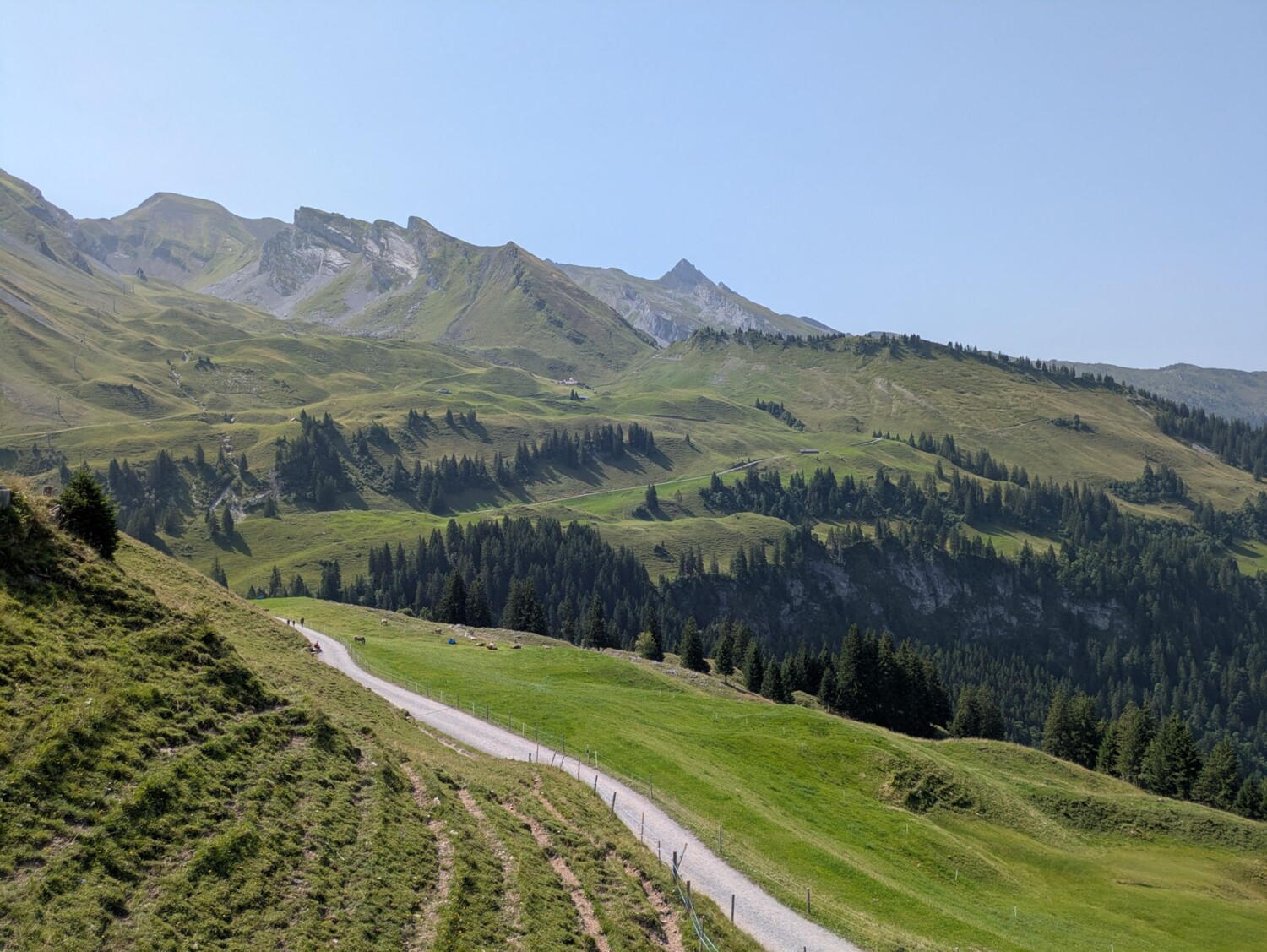 Paysage alpin du Klewenstock: le chemin traverse de jolis pâturages dans un décor impressionnant.