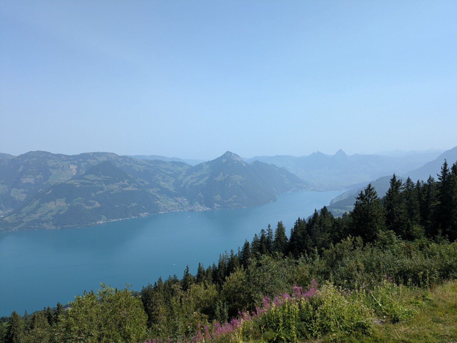 Vue depuis Klewenalp sur le lac des Quatre-Cantons et les montagnes de Suisse centrale