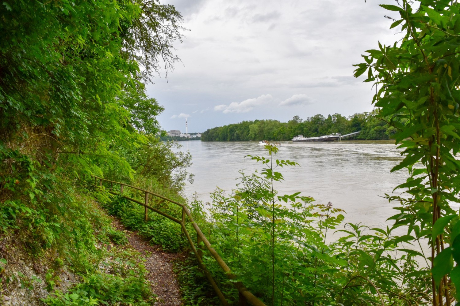 Auf dem Weg zum Hardwald wandert man dem Rhein entlang Richtung Basel.