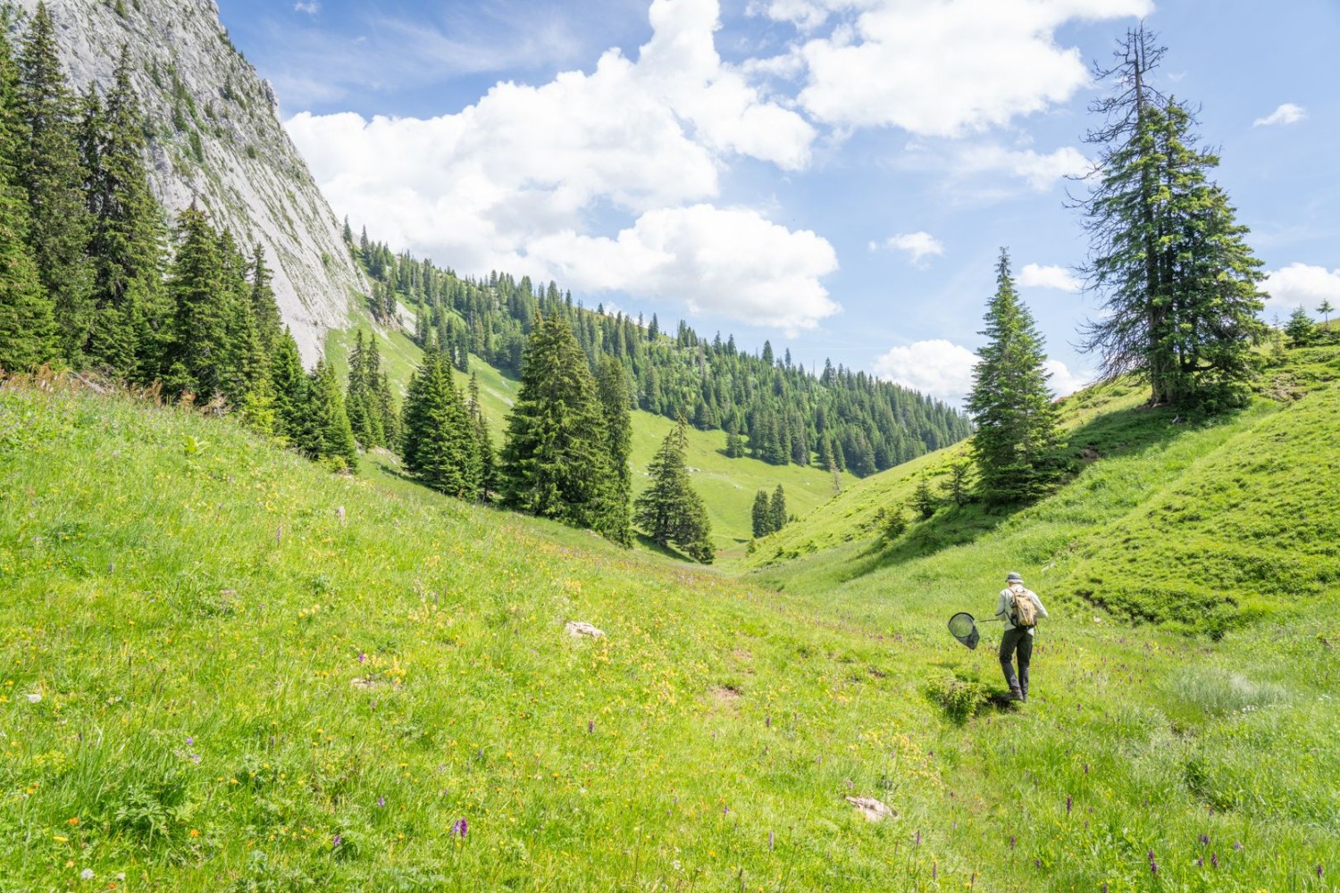 Abstecher in eine Senke am Obere Ruedersberg.