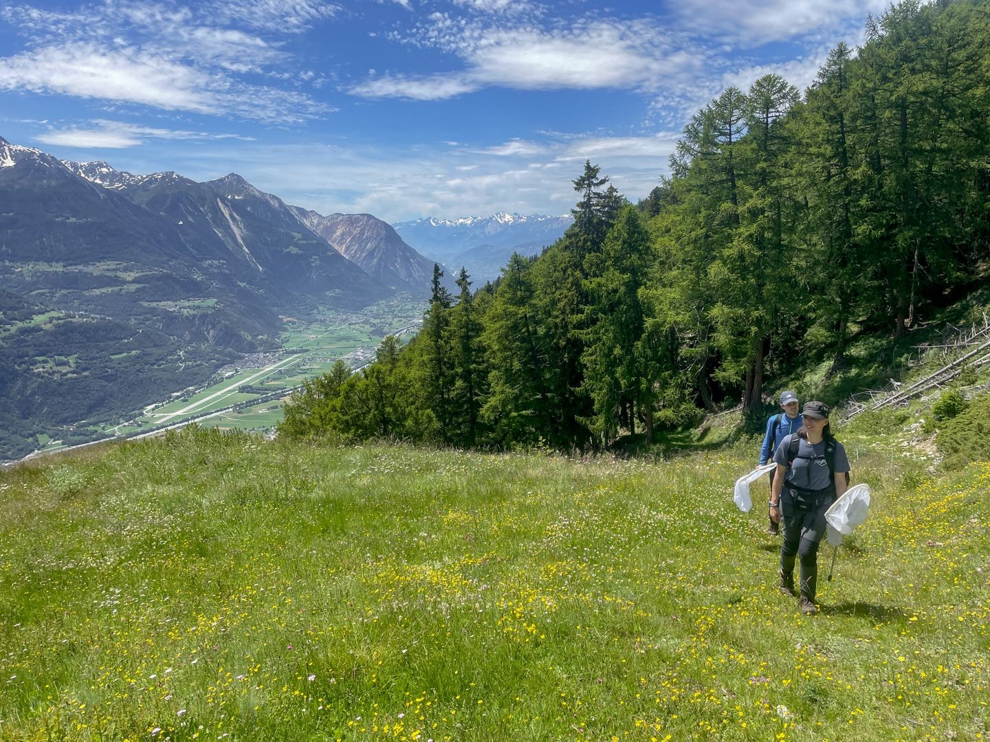 Der Blick ins Rhonetal – hinten der Illgraben.