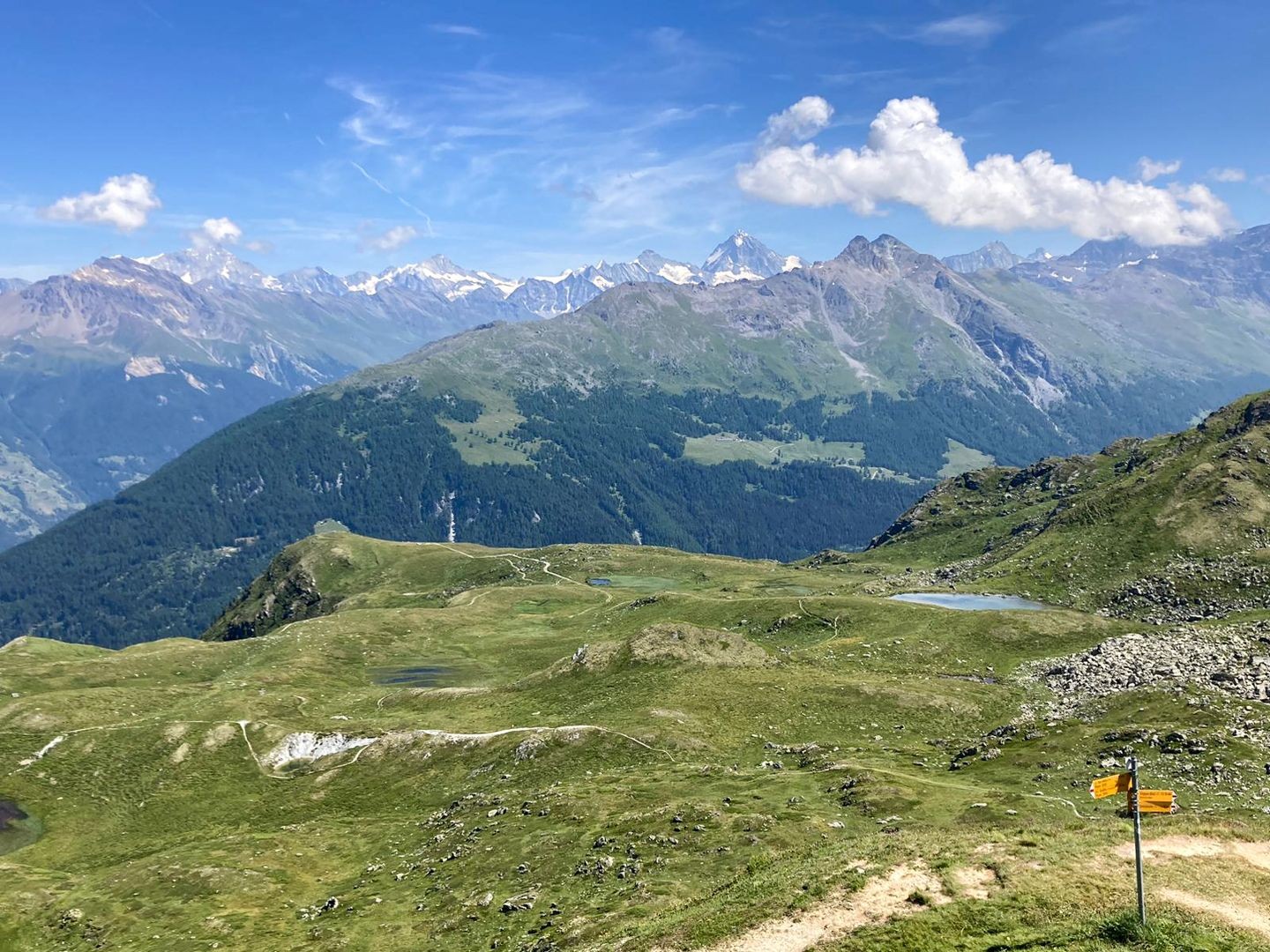 Ein letzter Blick zurück, bevor man den Gipfel des Mont Rouge erreicht. Unterhalb des Berges befinden sich die Goulles und ganz hinten die Walliser 4000er.