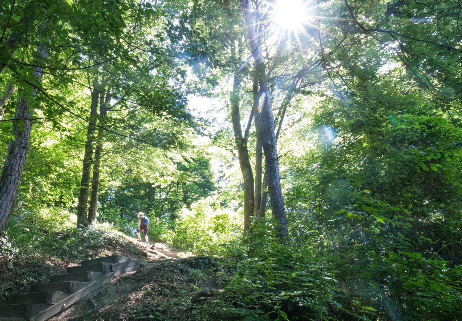 La montée jusqu’au château de Sonnenberg est courte et raide.