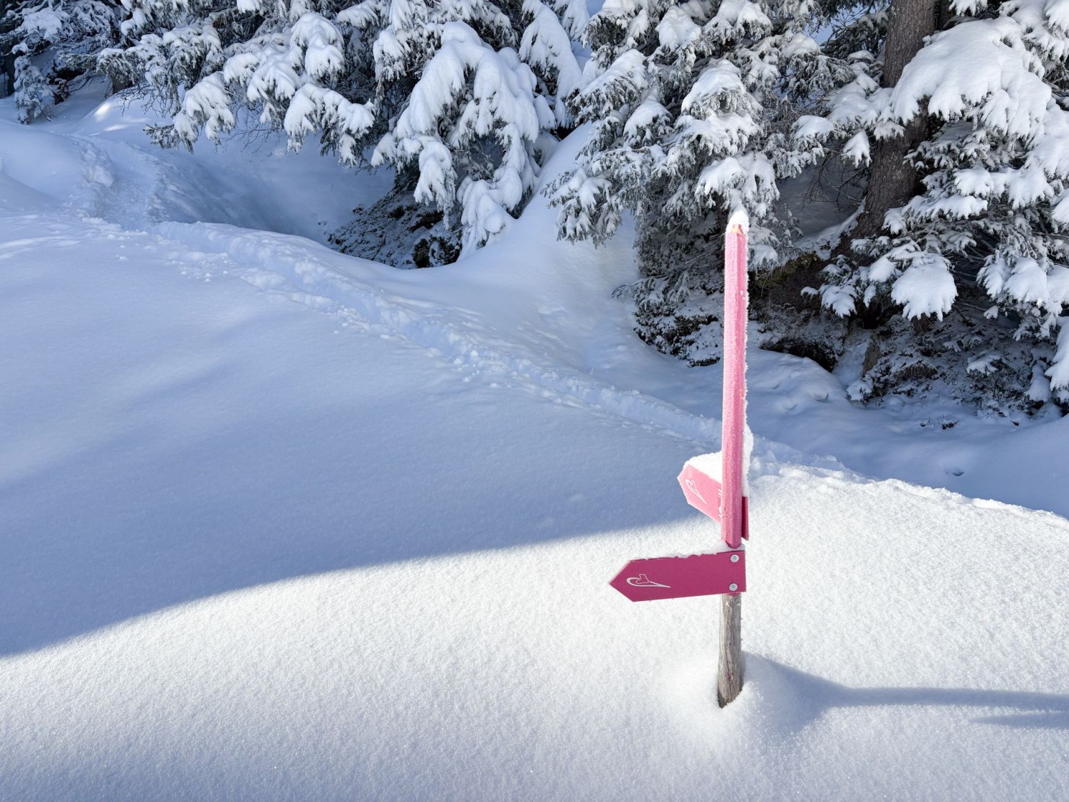 Beinahe zugeschneit: die pinken Wegweiser.