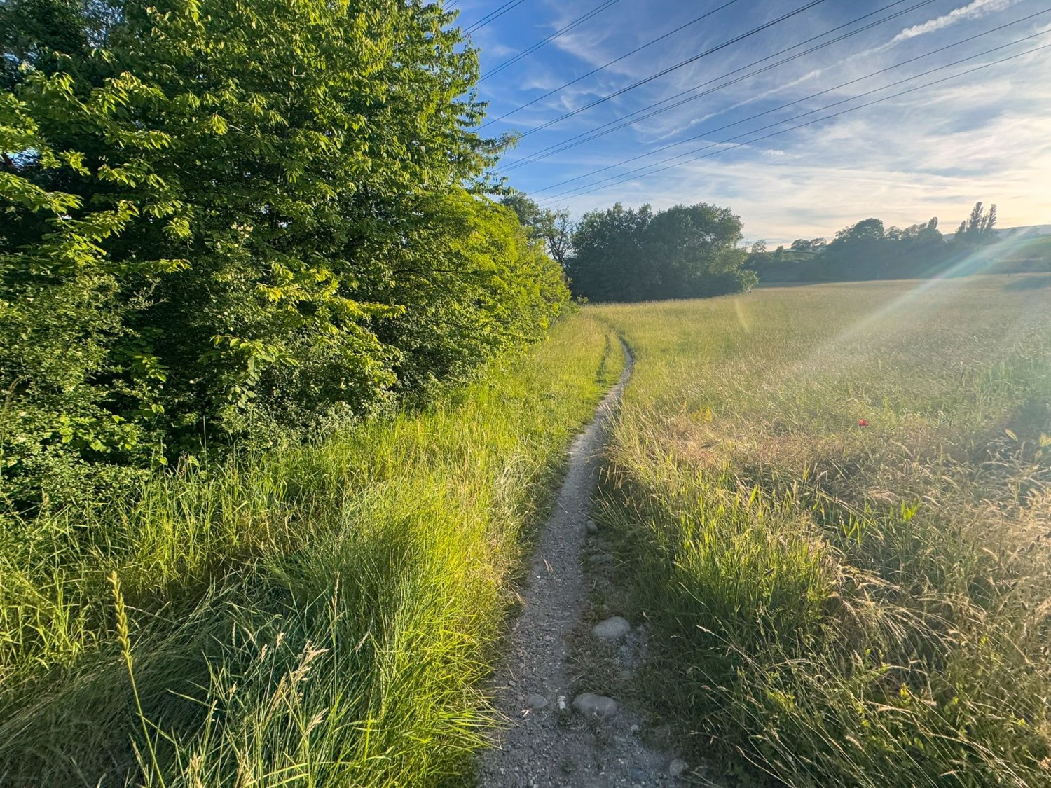 Kurz nach Russin geht es zunächst ins Grüne.