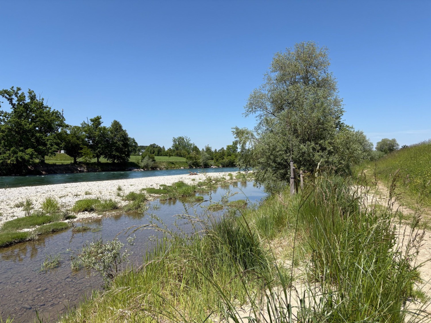 Der Wanderweg führt über einen ufernahen Pfad.