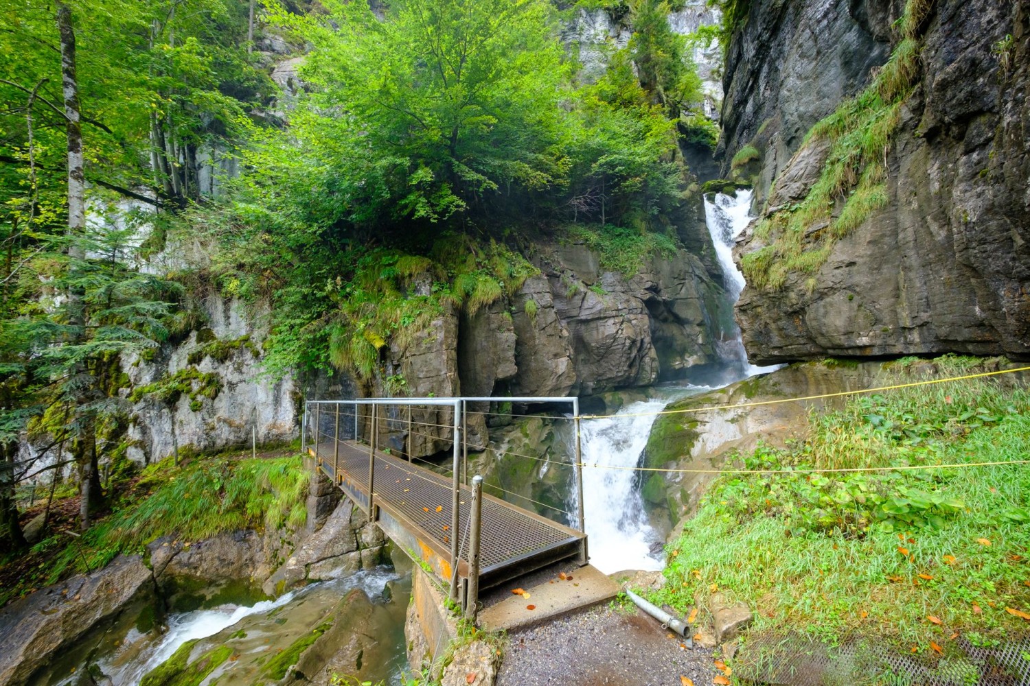 L’itinéraire traverse quatre fois les chutes du Giessbach entre la Schweibenalp et le lac de Brienz.