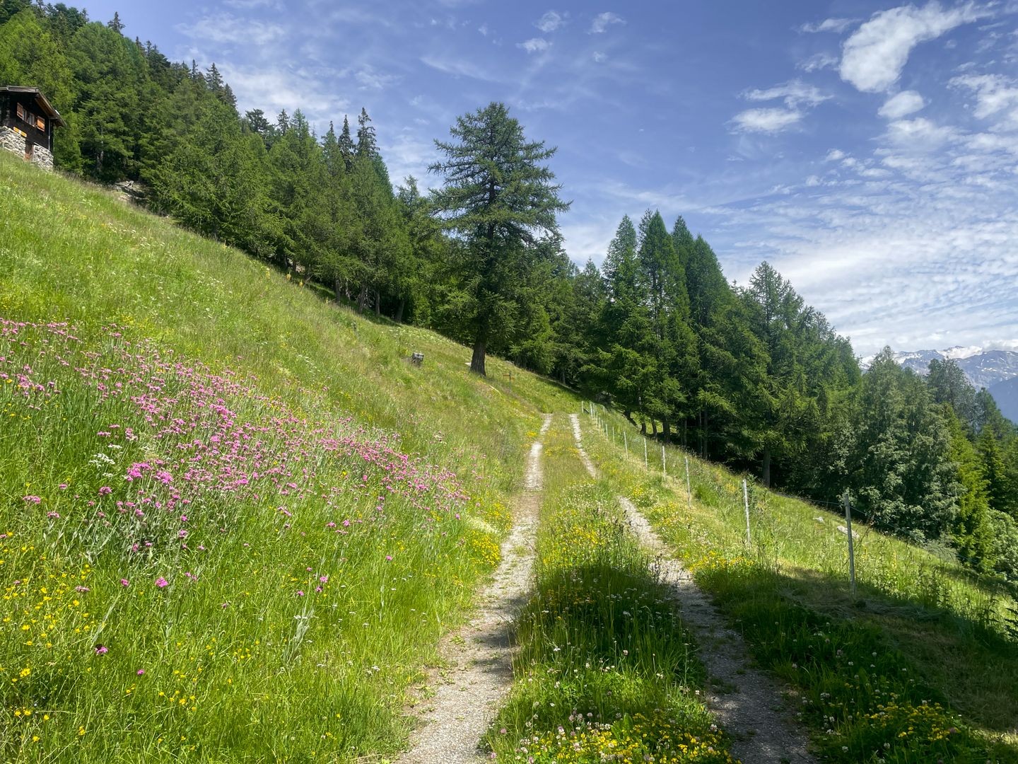 Jetzt ist die Spilbielalpji und damit der höchste Punkt der Wanderung erreicht.