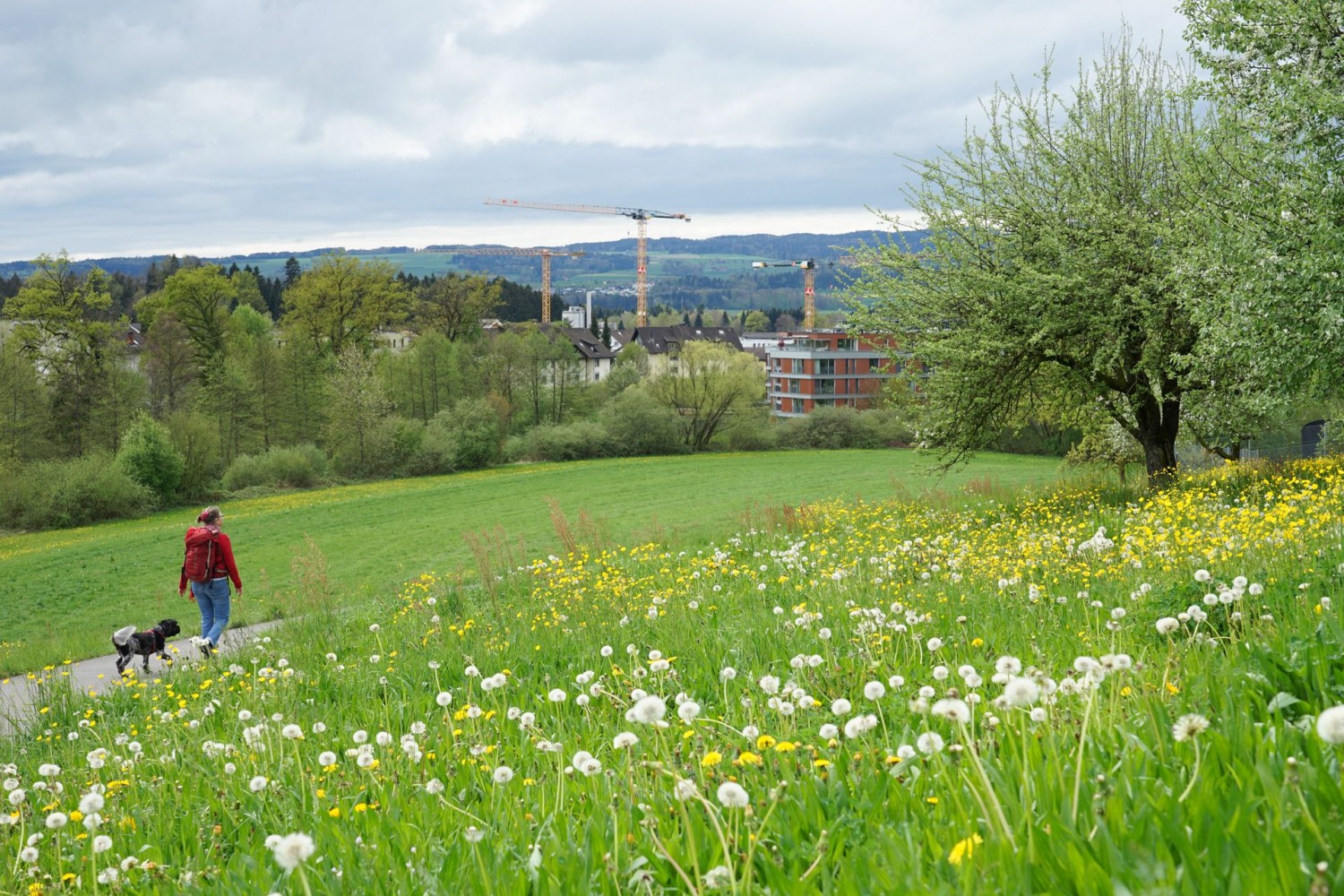 Im Kanton Zug wird überall viel gebaut.