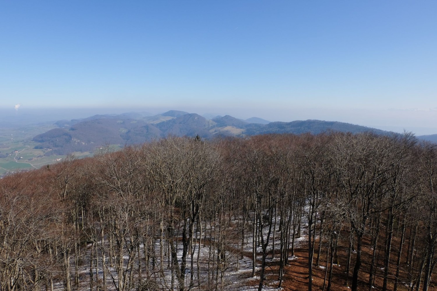 Der hügelige Baslerbieter Jura ist ganz nah.