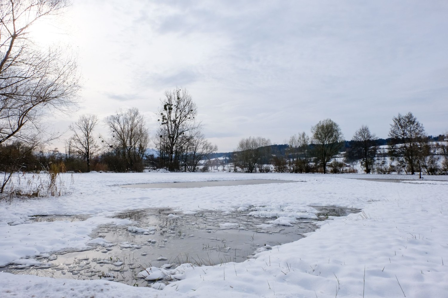 Winterliche Ruhe begleitet einen auf dieser Wanderung.