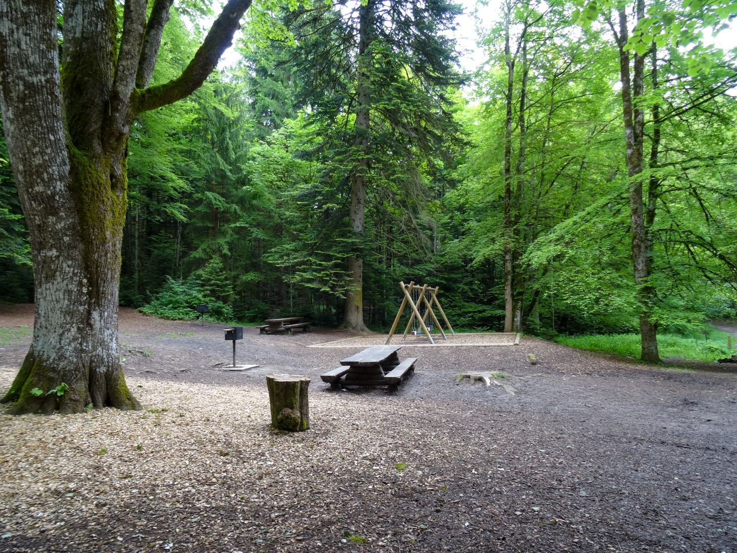 Un secondo parco giochi, denominato «Quatre-Sapins», attende nel bosco di Bulle.