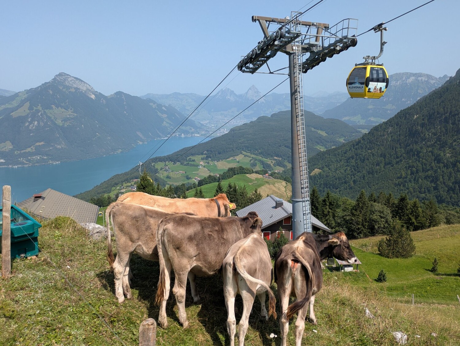 Retour confortable dans la vallée: la télécabine ramène tranquillement à Emmetten.