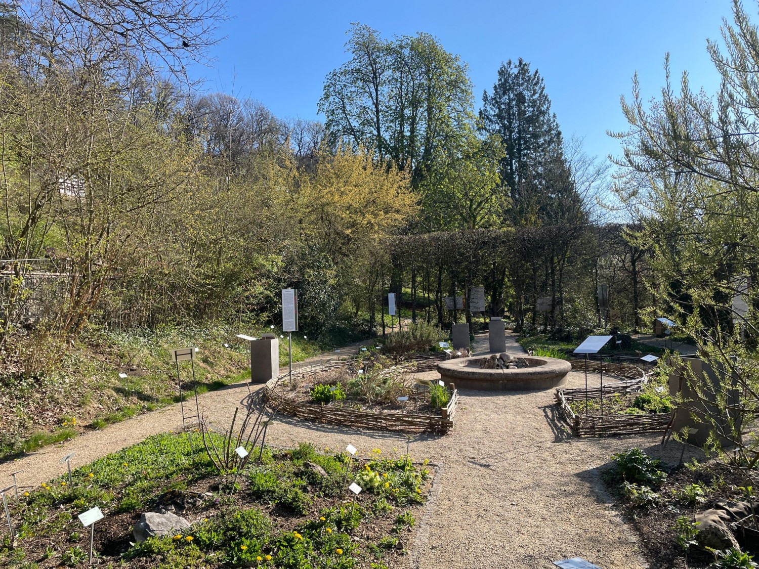 Il vaut la peine de prévoir un peu de temps pour visiter le jardin botanique.
