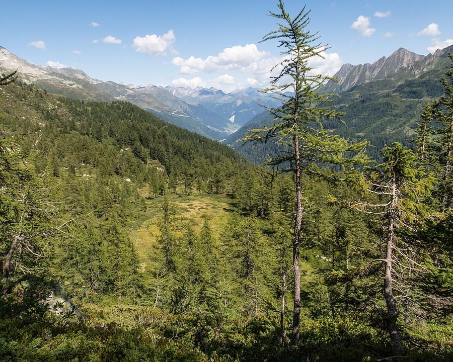 Foto: René Michel, FotoPate SchweizMobil