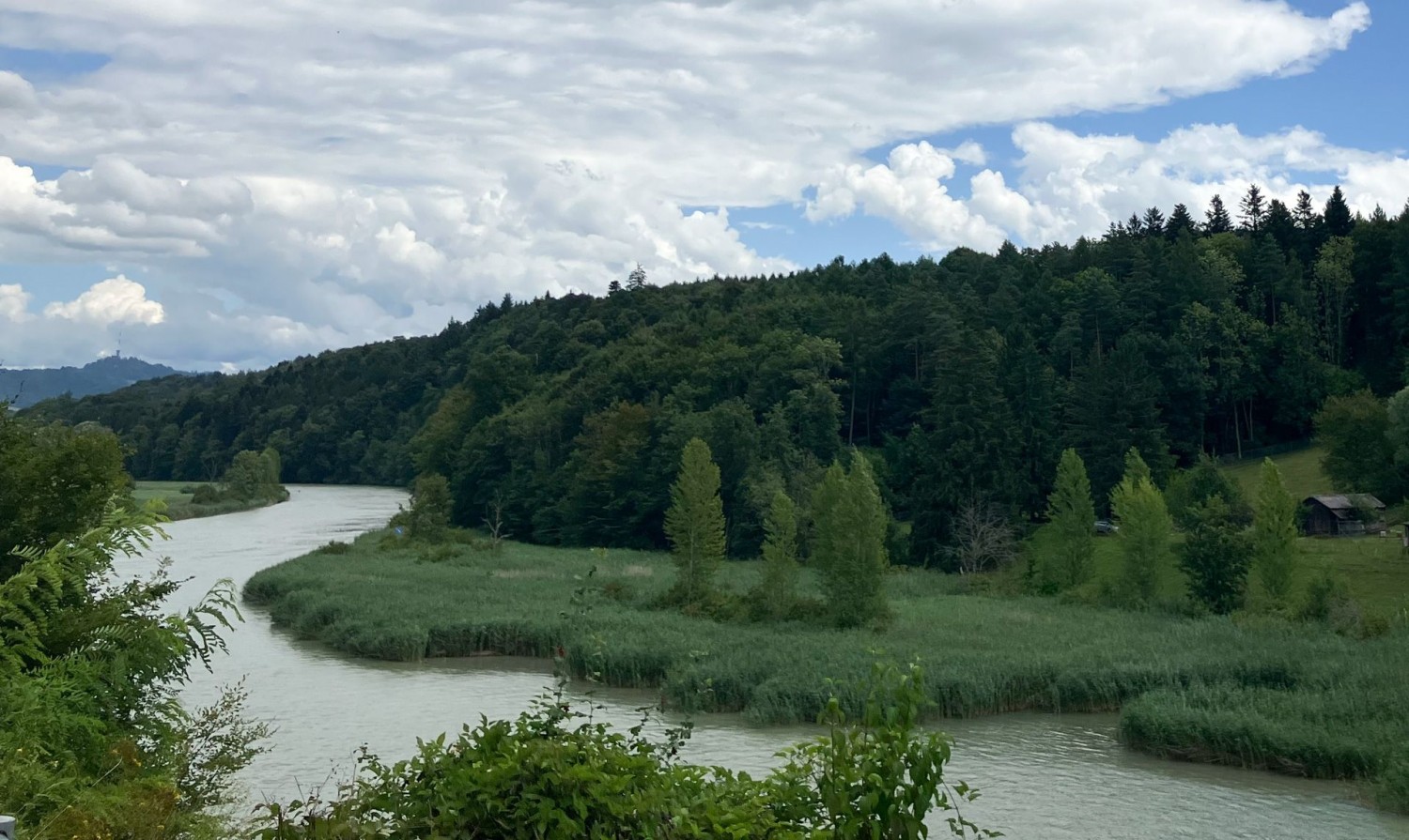Die Aare schlängelt sich Richtung Wohlensee.
