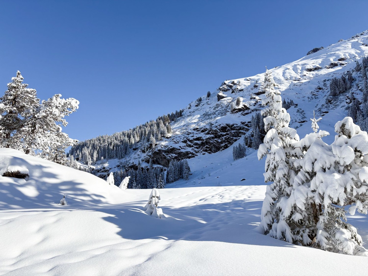 Verschneites Hochmoor auf der Mettmenalp.