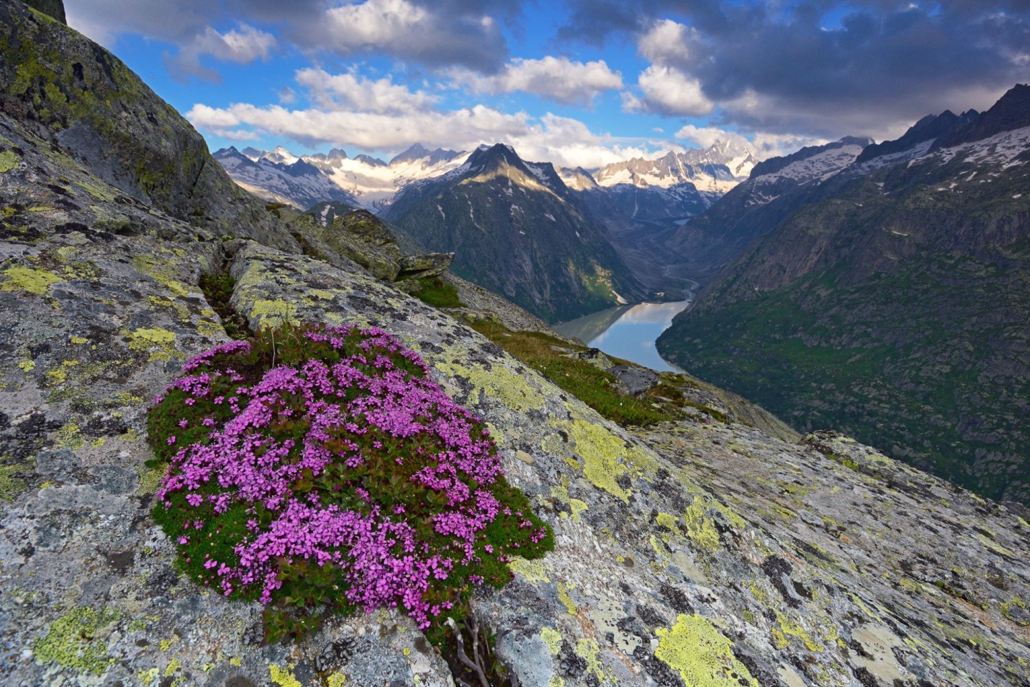 Der Grimselsee, links davon der Vorder Zinggestock, an dessen Fuss die Kristallkluft liegt.